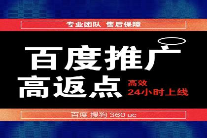 百度SEO推广案例解析与效果评估